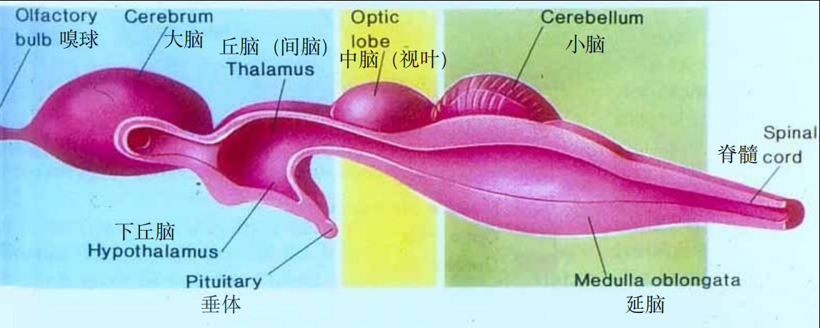 image-20250618212839941